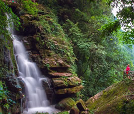 碧峰峽、上里古鎮(zhèn)二日游
